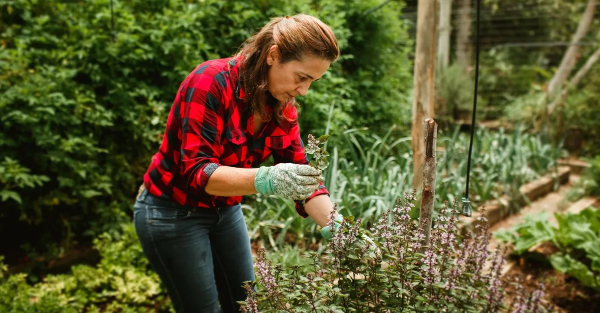 conseils et techniques pour tailler vos plantes efficacement, favoriser leur croissance et maintenir leur beauté toute l'année.