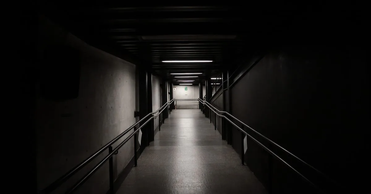 découvrez l'art de la photographie dans les couloirs sombres, capturant l'ambiance mystérieuse et le jeu d'ombres pour des images saisissantes.