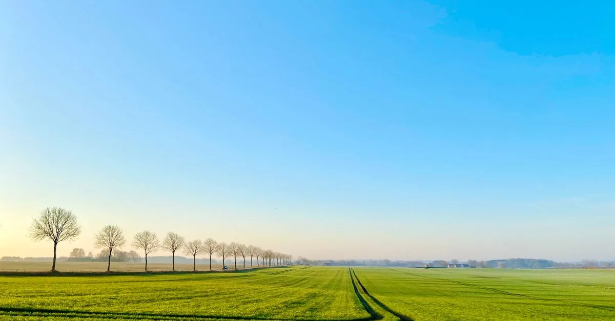 découvrez la valeur des terrains non constructibles, leurs caractéristiques et leur impact sur l'investissement immobilier.