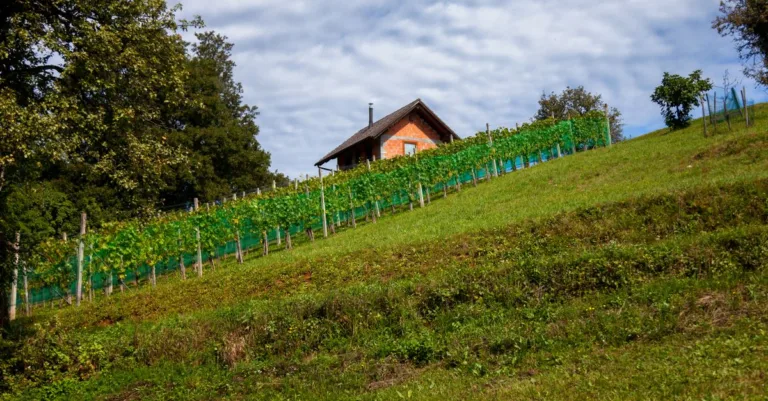 découvrez une maison conçue pour un terrain en pente, alliant architecture innovante et intégration harmonieuse avec le paysage naturel.